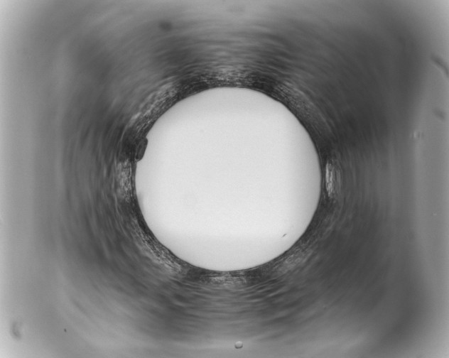 X0000099401107200805291204