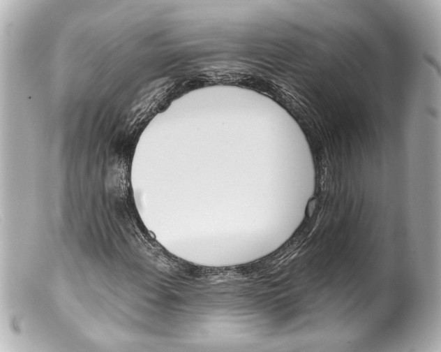 X0000099401108200805291204