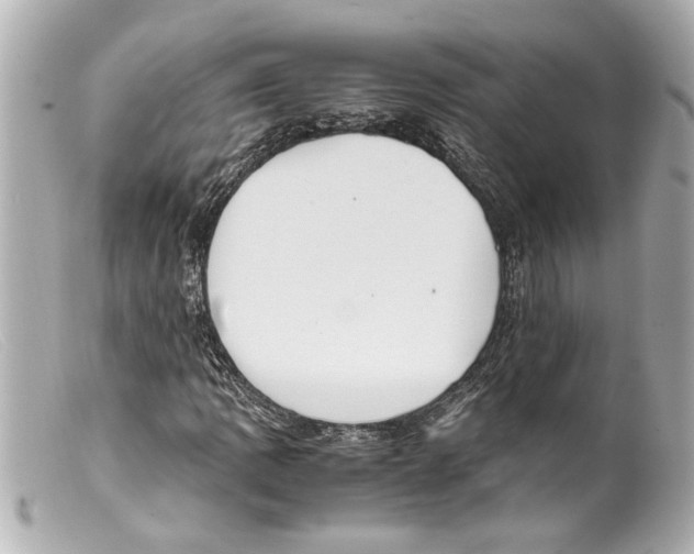 X0000099401109200805291204