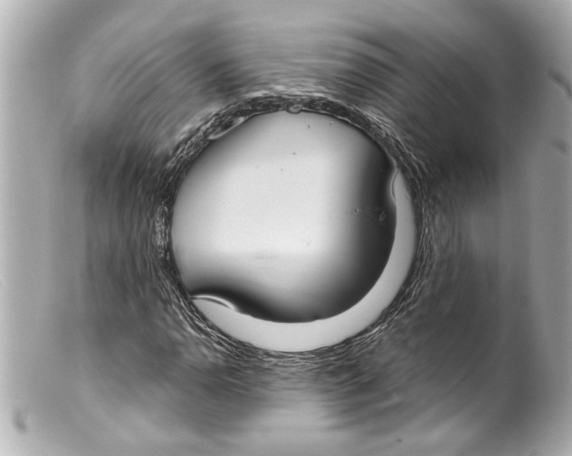 X0000099401110200805291204