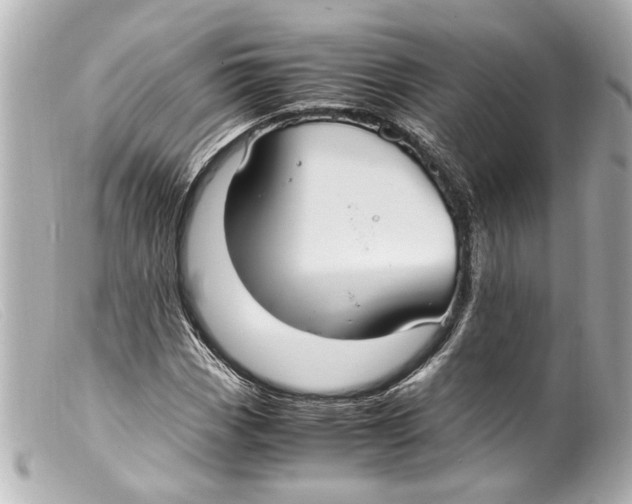 X0000099401113200805291204