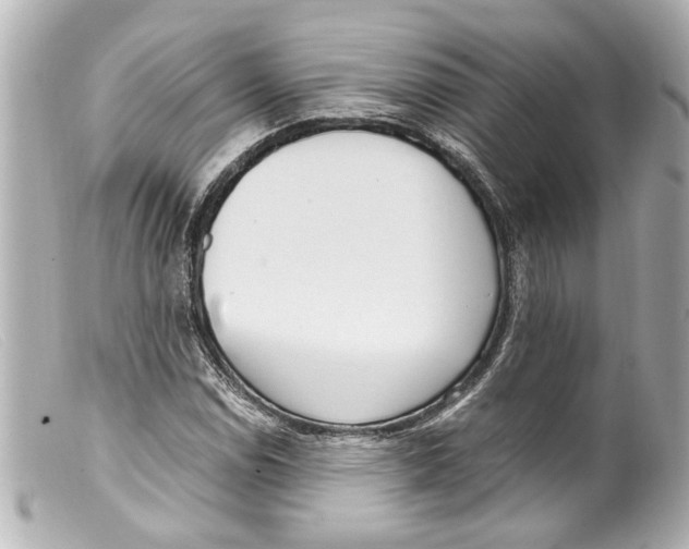 X0000099401114200805291204