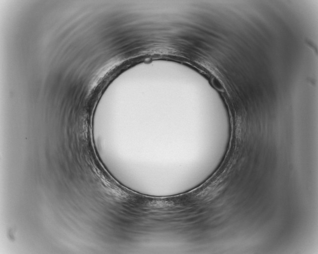 X0000099401115200805291204