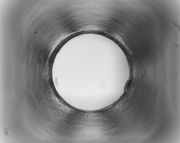 X0000099401116200805291204