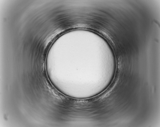 X0000099401117200805291204