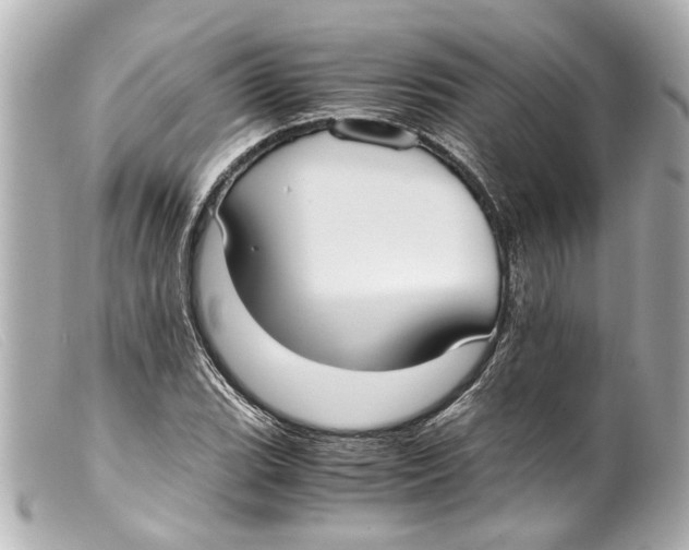 X0000099401119200805291204