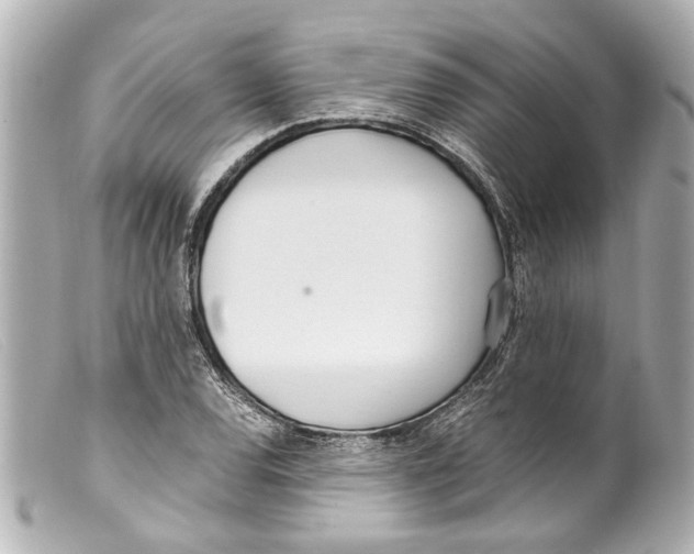 X0000099401120200805291204