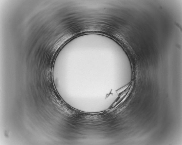 X0000099401121200805291204