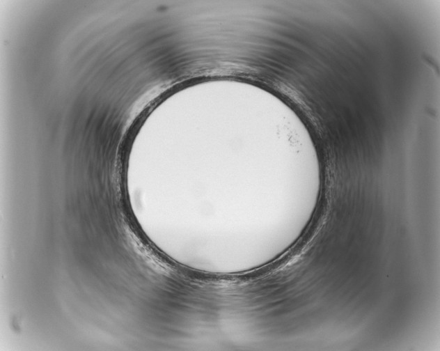 X0000099401122200805291204