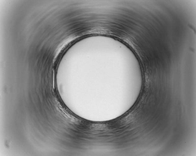 X0000099401123200805291204