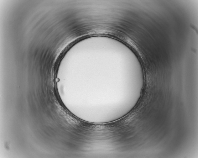 X0000099401124200805291204