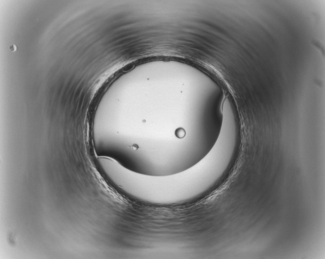 X0000099401125200805291204