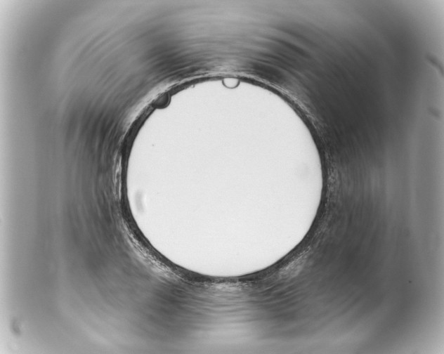 X0000099401126200805291204