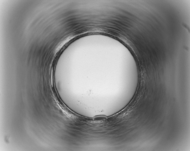 X0000099401127200805291204