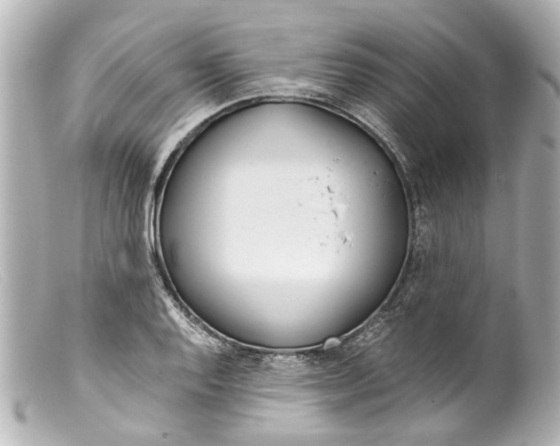 X0000099401128200805291204