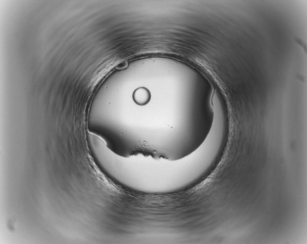 X0000099401129200805291204