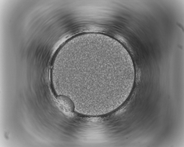 X0000099401130200805291204