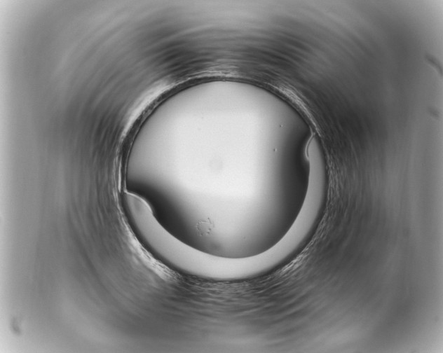 X0000099401131200805291204