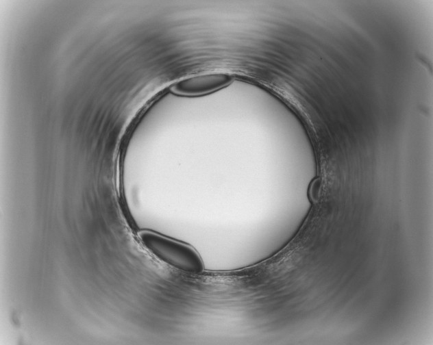 X0000099401132200805291204