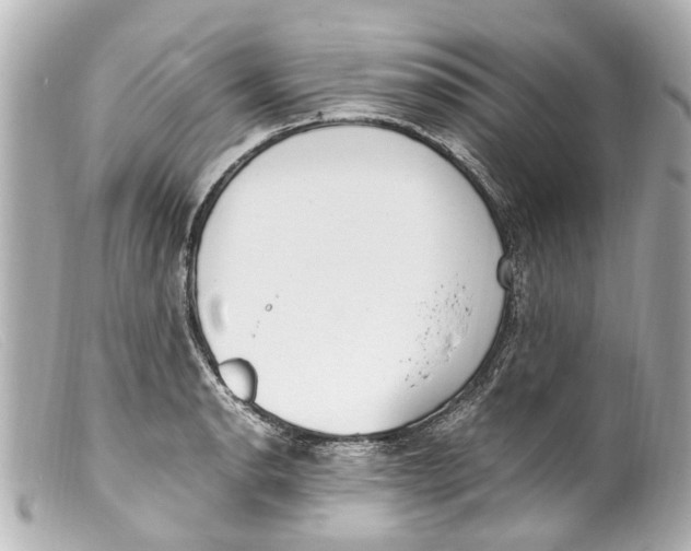 X0000099401134200805291204