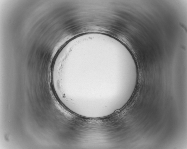 X0000099401136200805291204