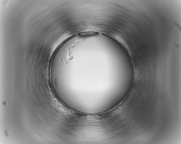 X0000099401138200805291204