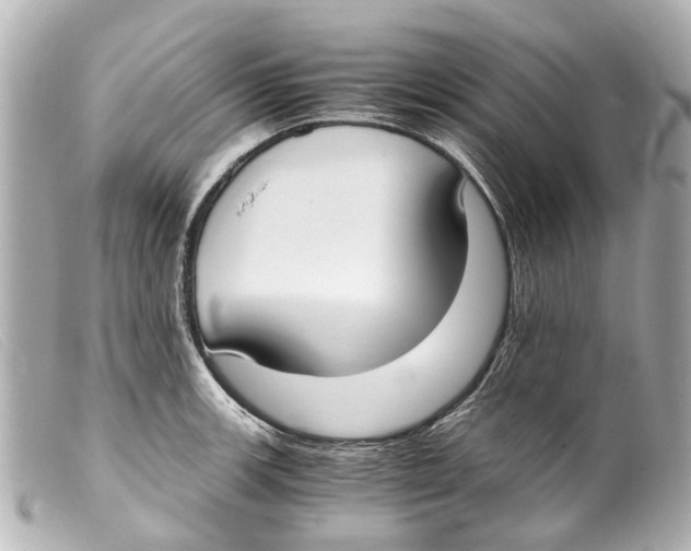 X0000099401139200805291204