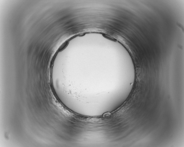 X0000099401140200805291204