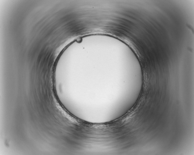 X0000099401142200805291205