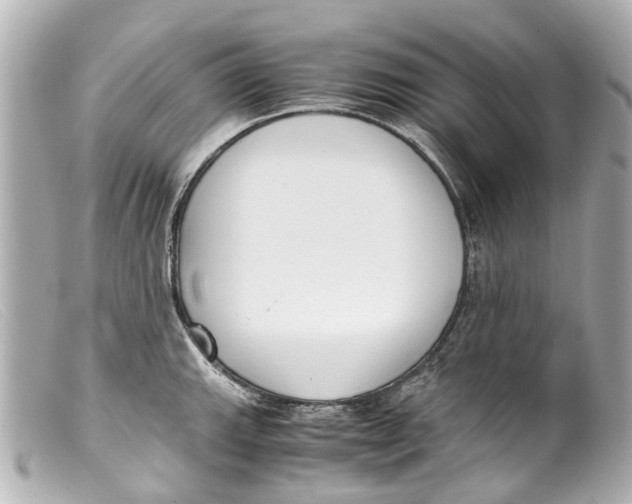 X0000099401143200805291205