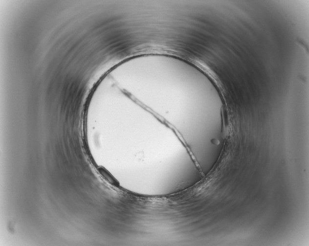 X0000099401144200805291205