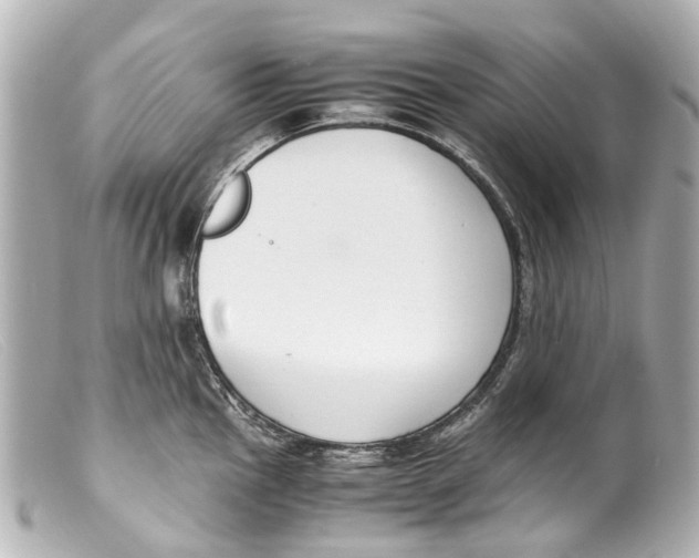 X0000099401145200805291205