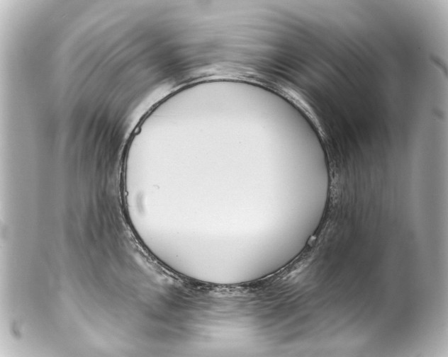 X0000099401146200805291205