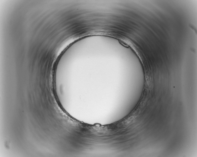 X0000099401147200805291205