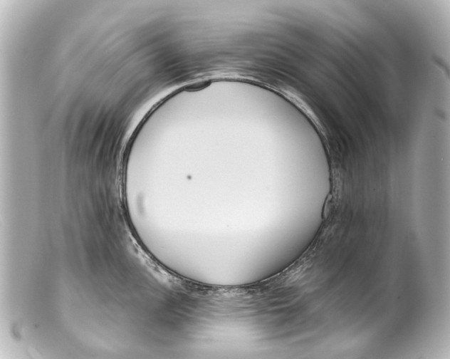 X0000099401148200805291205