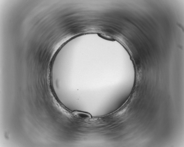 X0000099401149200805291205