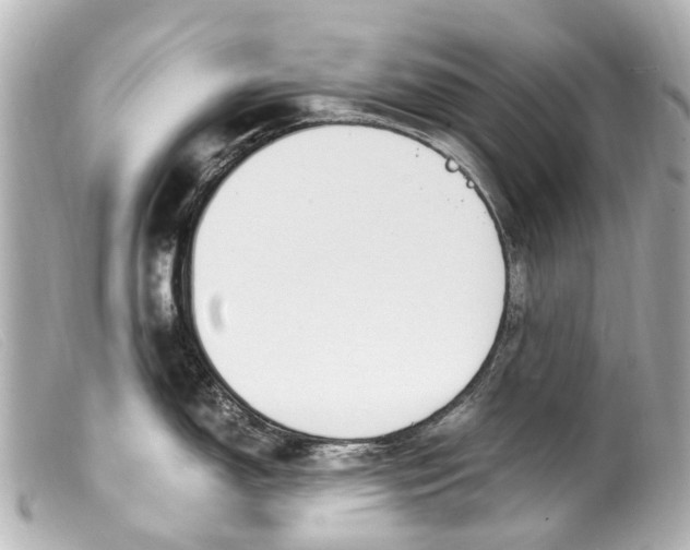 X0000099401150200805291205