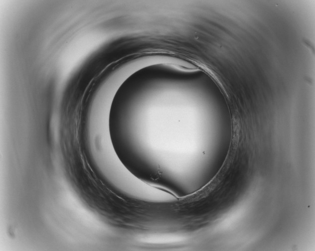 X0000099401151200805291205