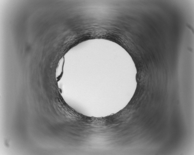 X0000099401153200805291204