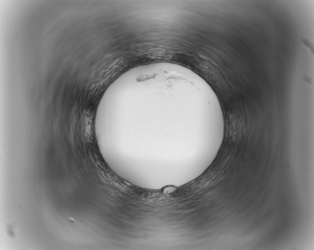 X0000099401154200805291204