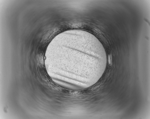 X0000099401155200805291204