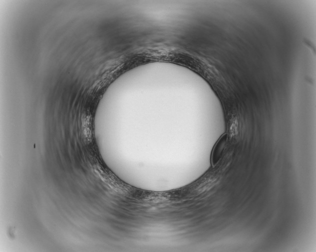 X0000099401156200805291204