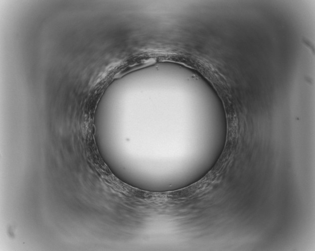 X0000099401157200805291204