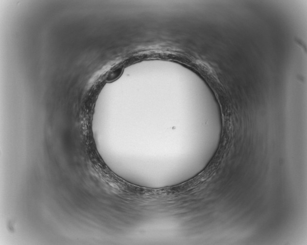 X0000099401159200805291204