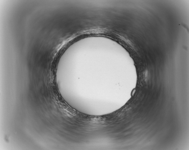 X0000099401160200805291204