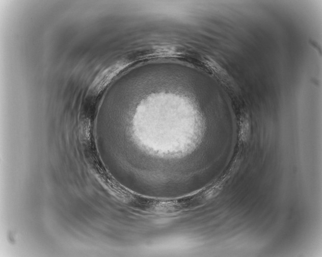 X0000099401161200805291204