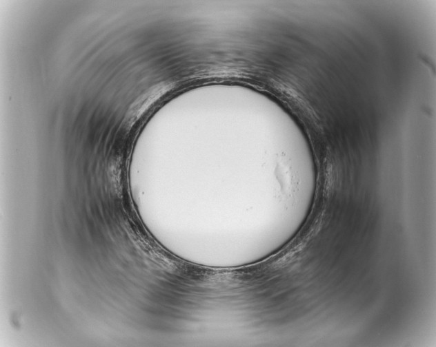 X0000099401162200805291204