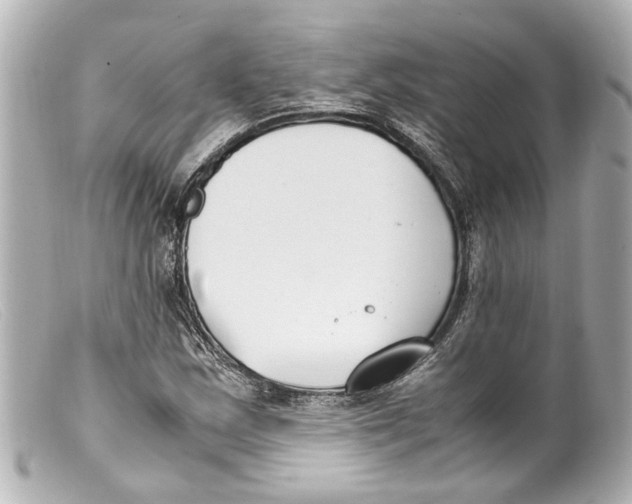 X0000099401163200805291204