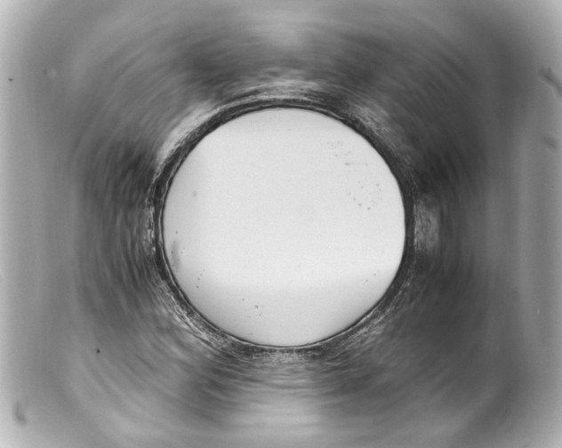 X0000099401164200805291204