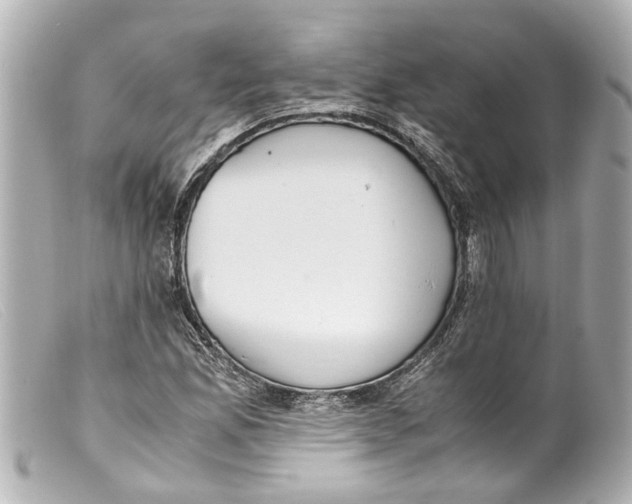 X0000099401165200805291204